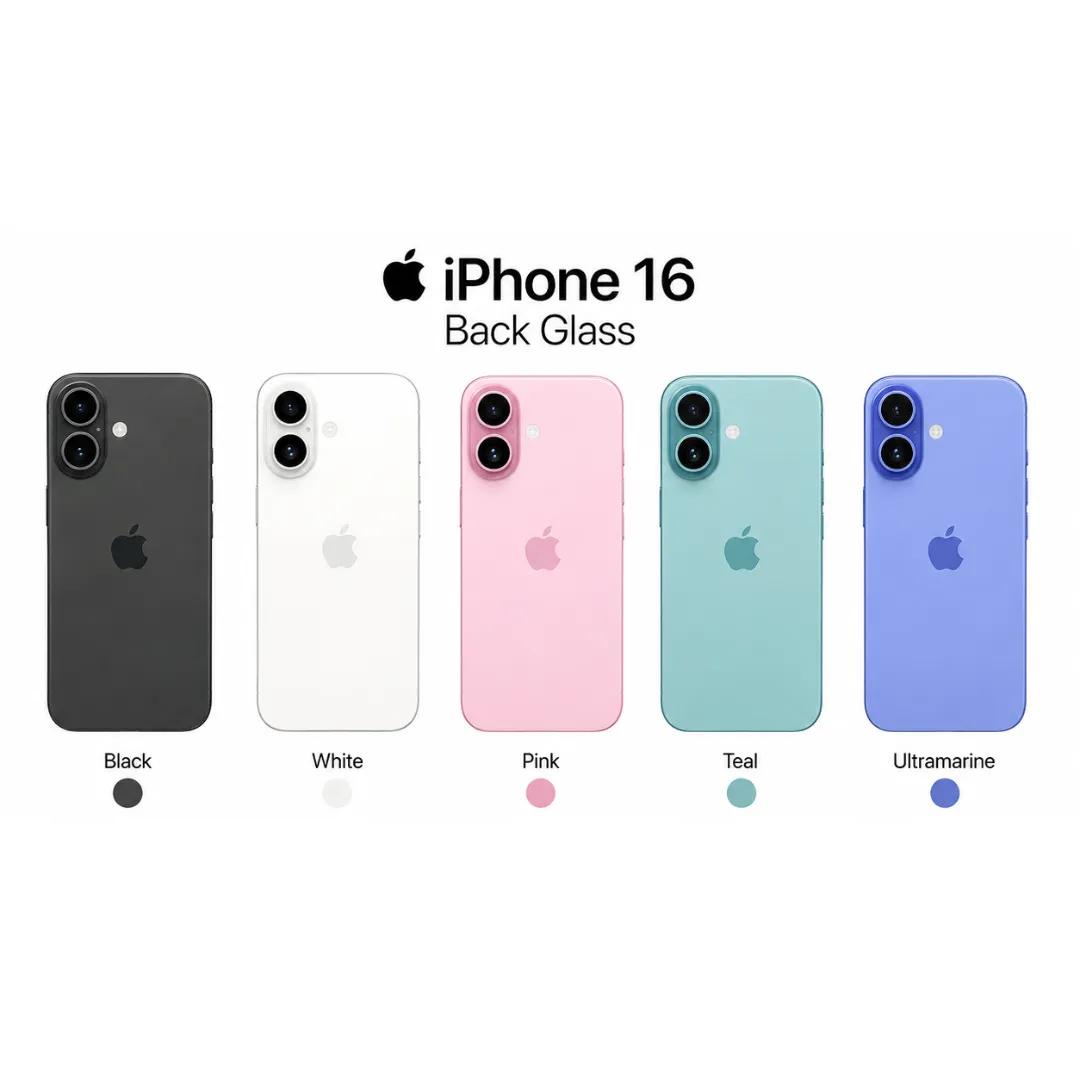 Back Glass Replacement